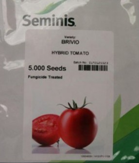  بذر و نهال | بذر بذر گوجه فرنگی بریویو