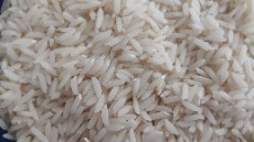  غلات | برنج طارم هاشمی مجلسی اعلاء