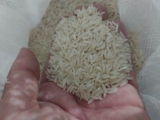  غلات | برنج برنج طارم دورنگر