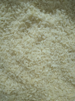  غلات | برنج چمپا