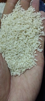  غلات | برنج سرلاشه طارم معطر سبزکوفا