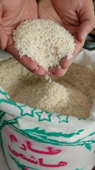  غلات | برنج طارم و...