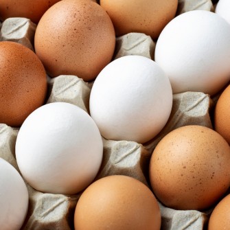  مواد پروتئینی | تخم مرغ صادراتی