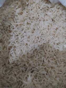  غلات | برنج برنج فجرگیلان درجه یک