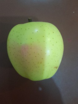  میوه | سیب سیب سفید درجه یک ودو