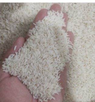  غلات | برنج برنج هاشمی درجه یک استانه اشرفیه .سورتینگ شده