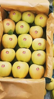  میوه | سیب سیب سرخ و سفید ردیفی مارک دار درجه یک صادراتی
