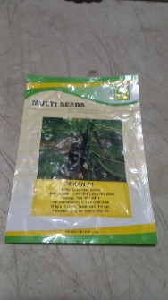  بذر و نهال | بذر بذر خیار سبز گلخانه ای نیکان
