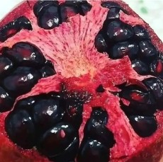  میوه | انار سرخ