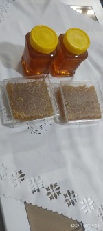 دامپروری | عسل عسل طبیعی از دامنه کوه بزغوش