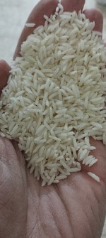  غلات | برنج برنج طارم معطر سبزکوفا