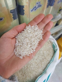  غلات | برنج ایرانی خوشپخت