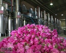  نوشیدنی | گلاب گلاب دو آتیشه سوپر مخصوص صادرات