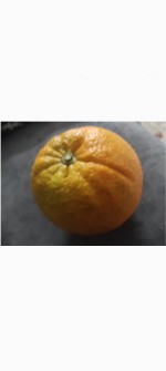  میوه | پرتقال خونی