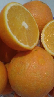  میوه | پرتقال تامسون محلی