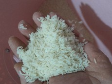  غلات | برنج طارم هاشمی درجه 1کشت اول