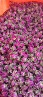  بذر و نهال | گل و گیاه غنچه  و گل محمدی