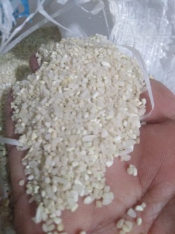  غلات | برنج نیم دانه چمپا خوش عطر و طعم
