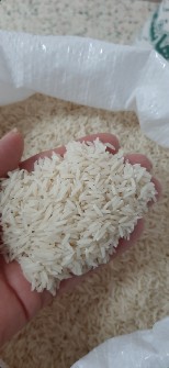  غلات | برنج برنج هاشمی فوق اعلا درجه یک شمال ایران