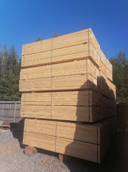  مصالح ساختمانی | چوب چوب یولکا دونم روسی / خشکن رفته