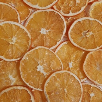  خشکبار | میوه خشک پرتقال خشک تامسون
