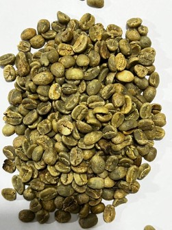  نوشیدنی | قهوه قهوه سبز کلمبیا