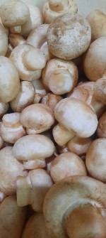  صیفی | قارچ قارچ دکمه‌ای
