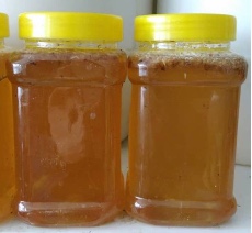 دامپروری | عسل عسل چهل گیاه طبیعی کوهی