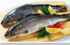  مواد پروتئینی | ماهی قزل آلای آکولاند فرانسه