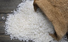  غلات | برنج پاکستانی