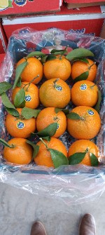  میوه | نارنگی محلی  پاکستانی  خارو