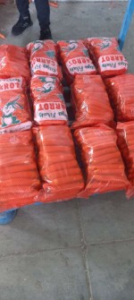  صیفی | هویج فروش و صادرات هویج عمده