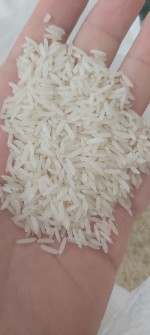  غلات | برنج ندا چرب و کره ای گرگان