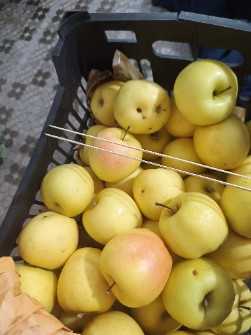  میوه | سیب سیب زرد
