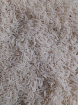  غلات | برنج طارم هاشمی کشت دوم ممتاز