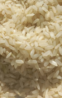  غلات | برنج کامفیروزی