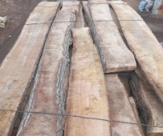  مصالح ساختمانی | چوب تخته چوب گردو