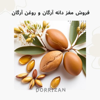  آرایشی و بهداشتی | محصولات پوستی دانه آرگان اصل مراکش