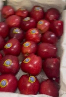  میوه | سیب سیب درختی قرمز صادراتی