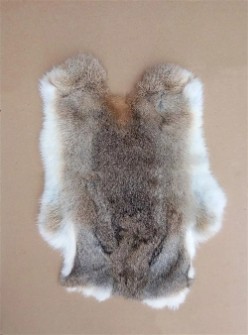  نساجی، پارچه و چرم | چرم پوست خرگوش