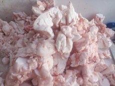  مواد پروتئینی | گوشت چربی قلوه گوساله چربی گوساله
