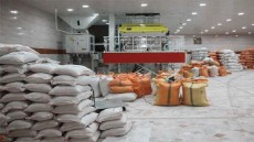  غلات | برنج برنج ایرانی