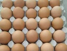  مواد پروتئینی | تخم مرغ تخم مرغ با پرینت