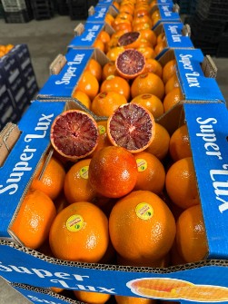  میوه | پرتقال پرتقال خونی - تو سرخ