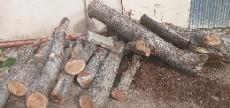  مصالح ساختمانی | چوب چوب گردو