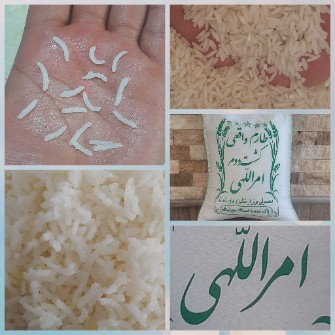  غلات | برنج طارم امراللهی