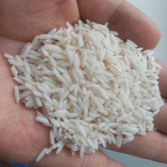 غلات | برنج صدری هاشمی درجه یک