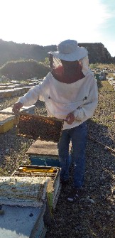  دامپروری | عسل فروش لوازم زنبورداری عمده و خرده