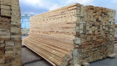  مصالح ساختمانی | چوب چوب نراد روسی خشک و خیس