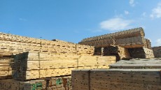  مصالح ساختمانی | چوب چوب نراد روسی